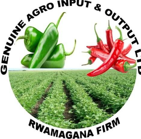 GENUINE AGRO INPUT AND OUTPUT LTD