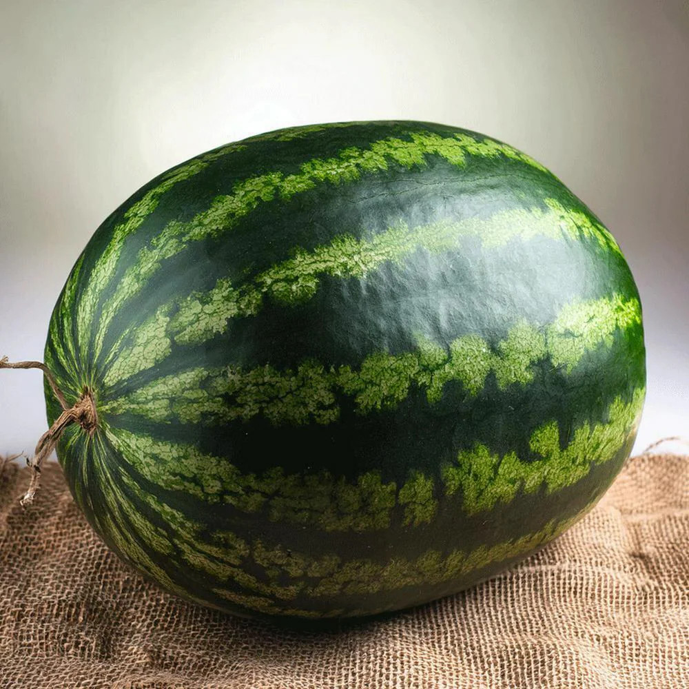 Digital Platform MarketPlace banner