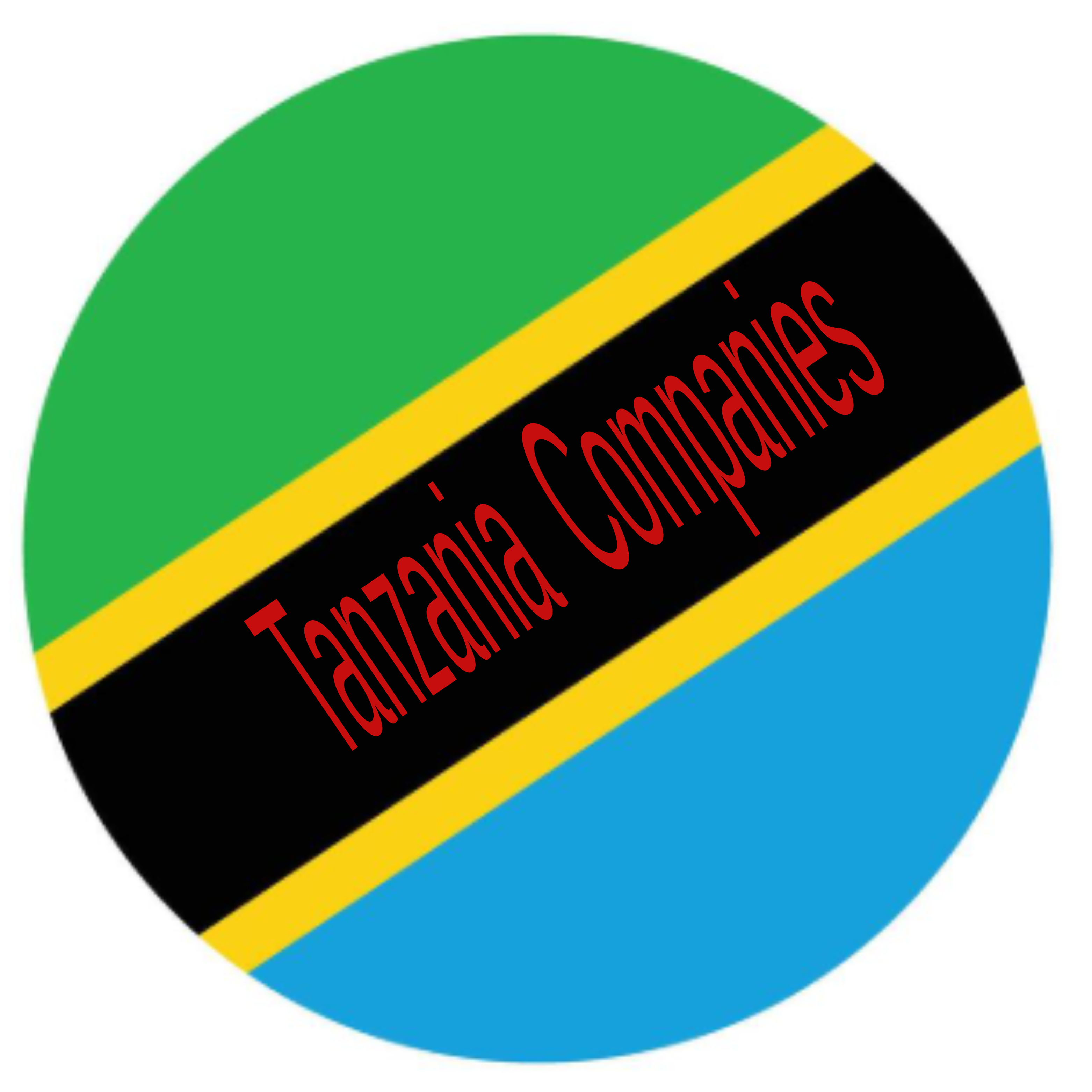 Tanzania Companies